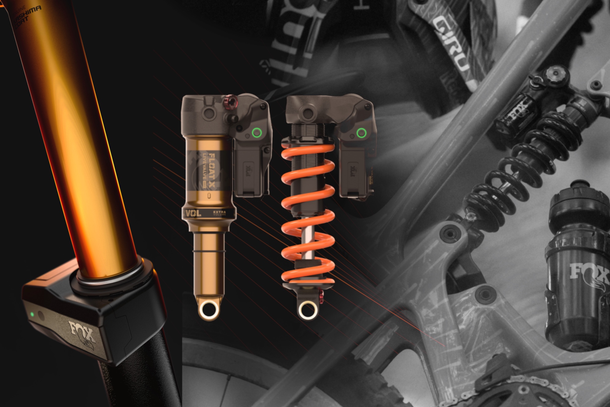 What Is Fox Neo Suspension?