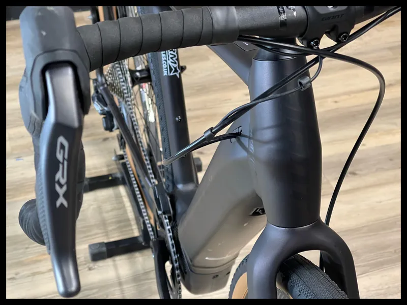 Giant Revolt E+ Pro XR 25km/h M-Large Rosewood 2021-2