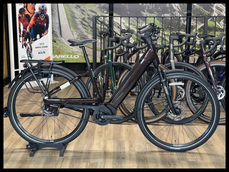 Liv Allure E+ 1 25km/h Small Rosewood 2022