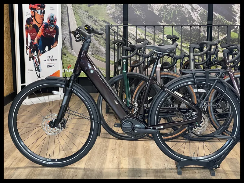 Liv Allure E+ 1 25km/h Small Rosewood 2022-1