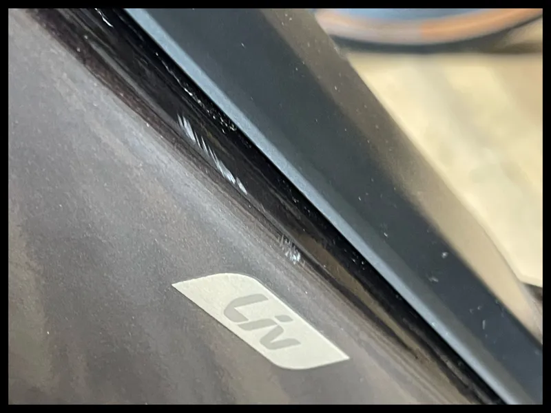 Liv Allure E+ 1 25km/h Small Rosewood 2022-8