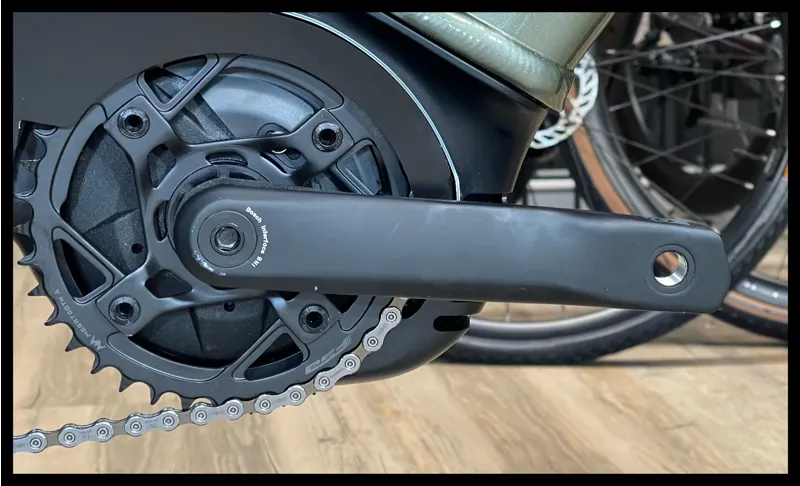 Tesoro Neo X 2  29er StepThru Mantis Large 2022-5