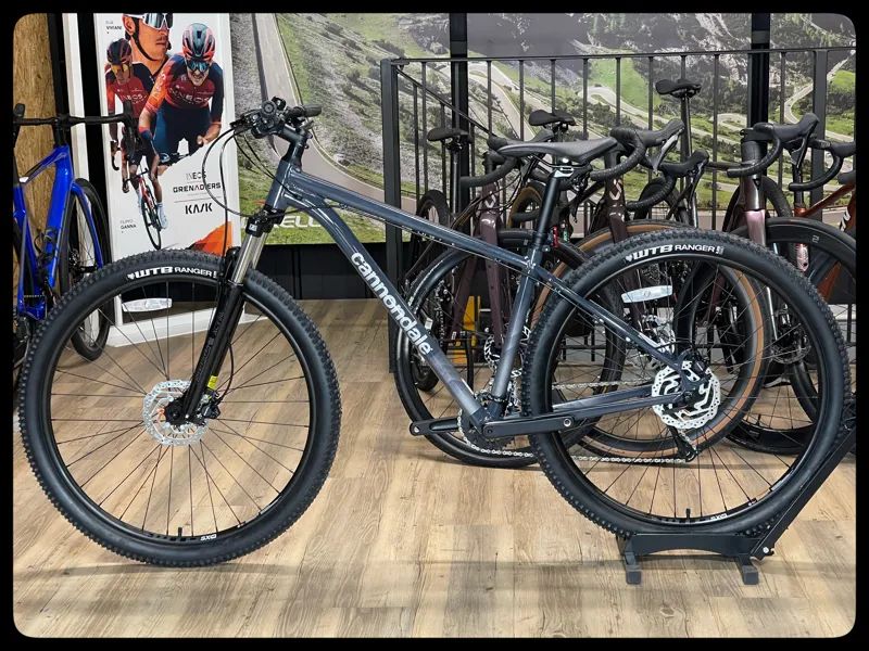 Cannondale Trail 6 Medium 29er Slate grey 2022-1