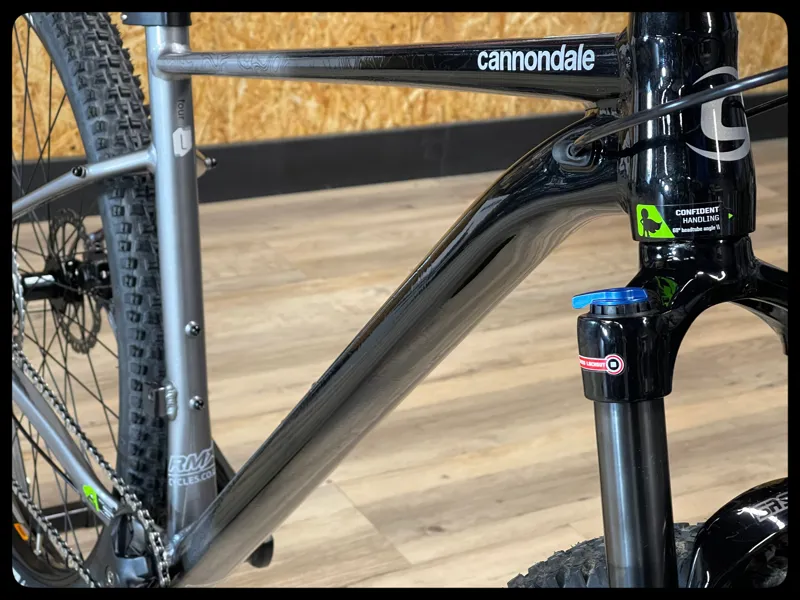 Cannondale Trail SE 4 29er MTB Large Grey 2022 Ex-Demo-2