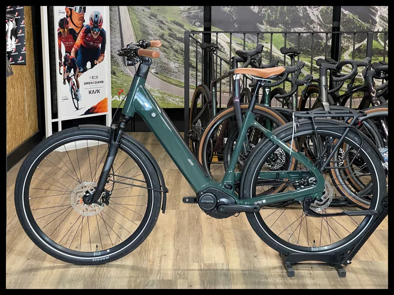 Liv Allure E+ 1 25km/h M Trekking Green 2022-1