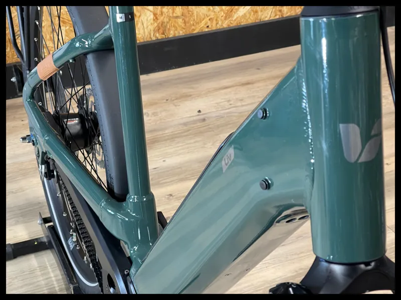 Liv Allure E+ 1 25km/h M Trekking Green 2022-2