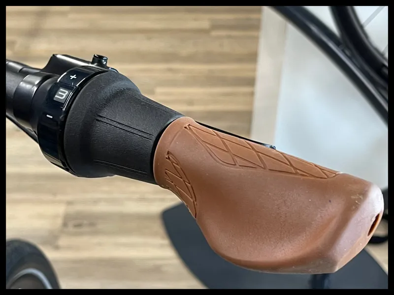 Liv Allure E+ 1 25km/h M Trekking Green 2022-9