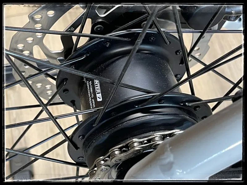 Momentum Vida E+ Lunar Large 2022-4