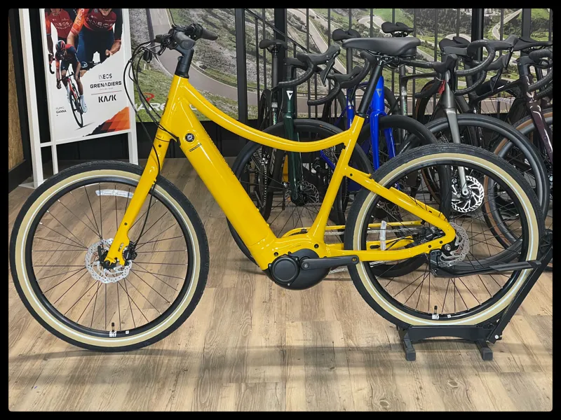 Momentum Vida E+ Large Bumblebee 2022-8