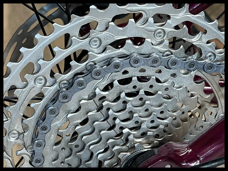 RAGLEY Big AL 1.0 29 Large Red 2022-5