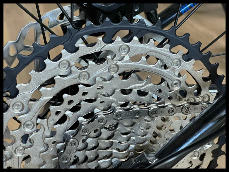 RAGLEY Blue Pig Race Medium Blue 2022-5