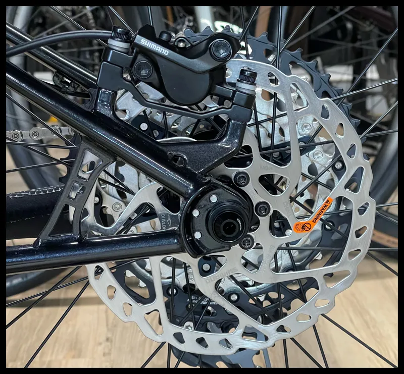 RAGLEY Blue Pig Race Medium Blue 2022-9