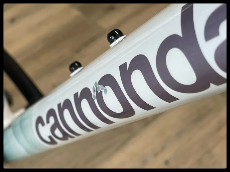 Cannondale Trail 7 29er Iridescent Medium 2023-10