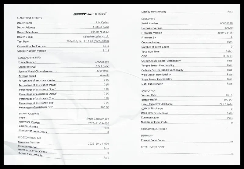 Giant Trance X E+ 1 Pro 29er Medium Amber Glow 2023-12