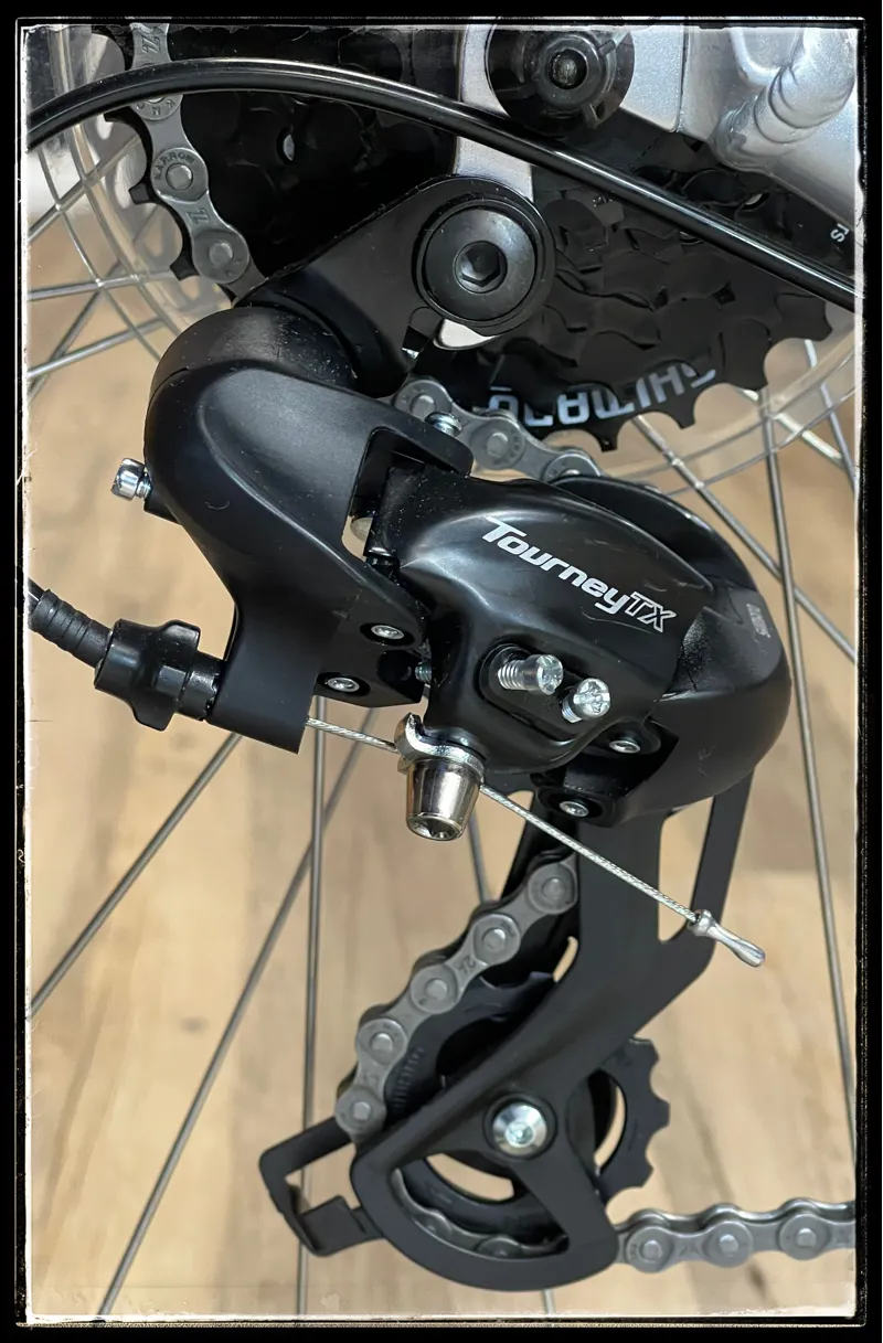 GT Aggressor Expert 29 Mountain Bike Silver 2023-2