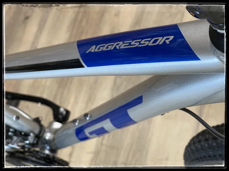 GT Aggressor Expert 29 Mountain Bike Silver Small 2023-2