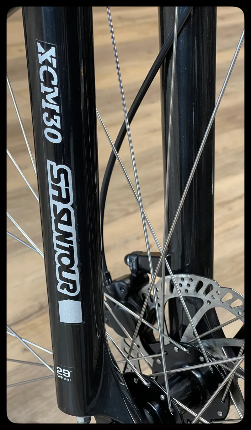 GT Aggressor Expert 29 MTB Bike Large Silver 2023-5