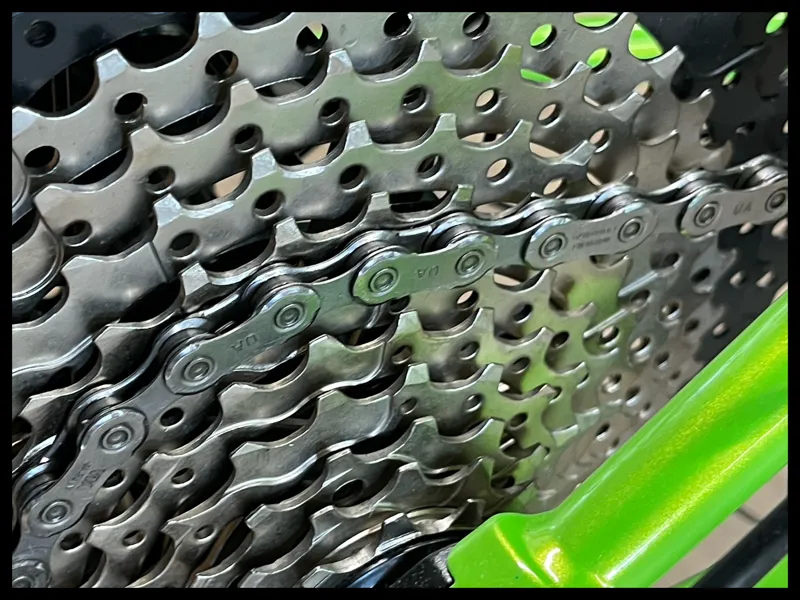 RAGLEY Big Wig 29 Steel Bike Medium Lime / Black 2023-5