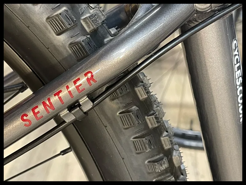 VITUS Sentier 290 Mountain Bike Medium SMP Space Silver 2023-3
