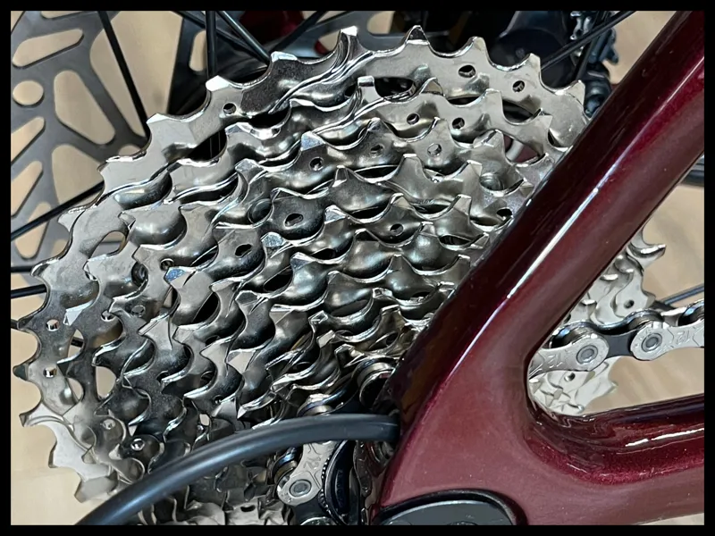 Liv EnviLiv Advanced 2 Small Sangria 2024-4