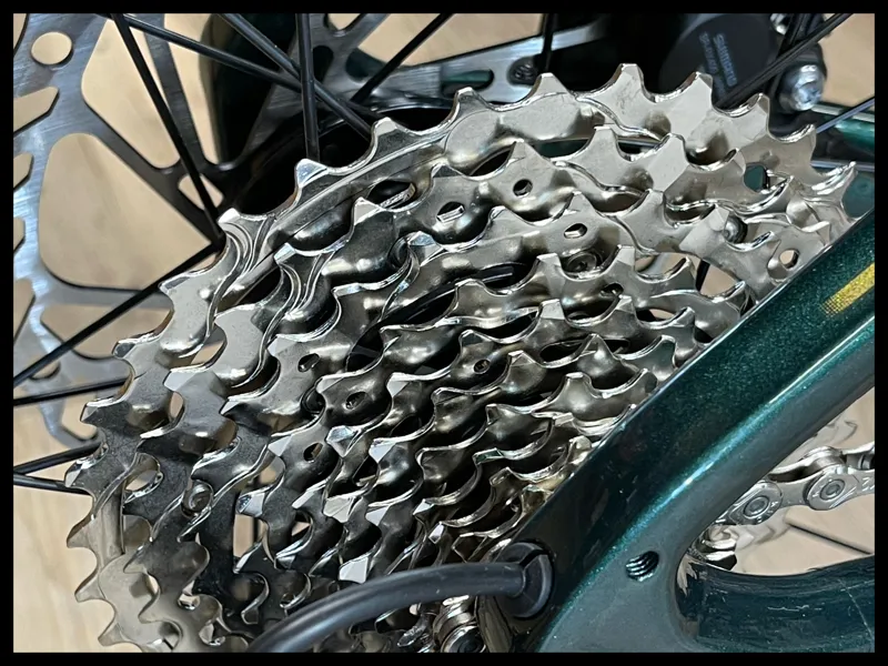 Liv Devote Advanced 2 Small Kelp Forest 2024-5