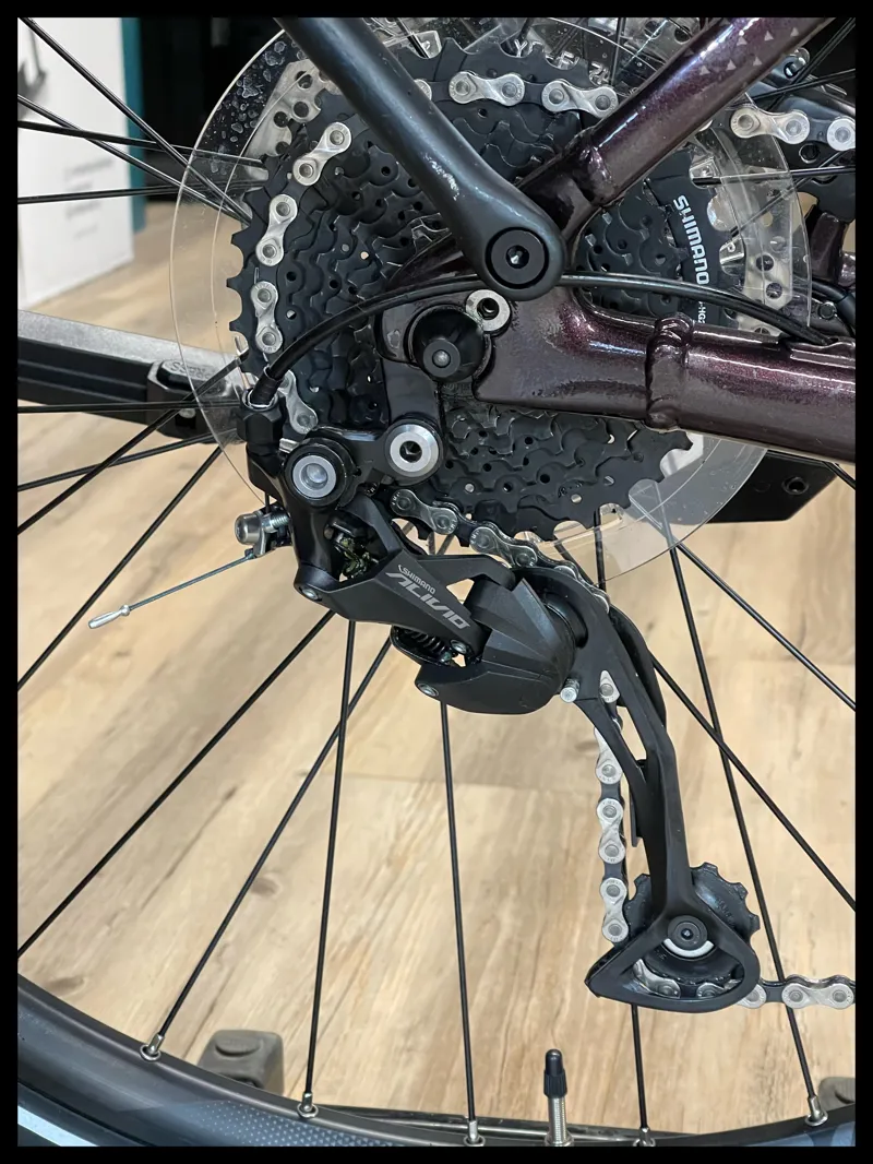 Liv Amiti-E+ 2 25km/h Medium Rosewood-4