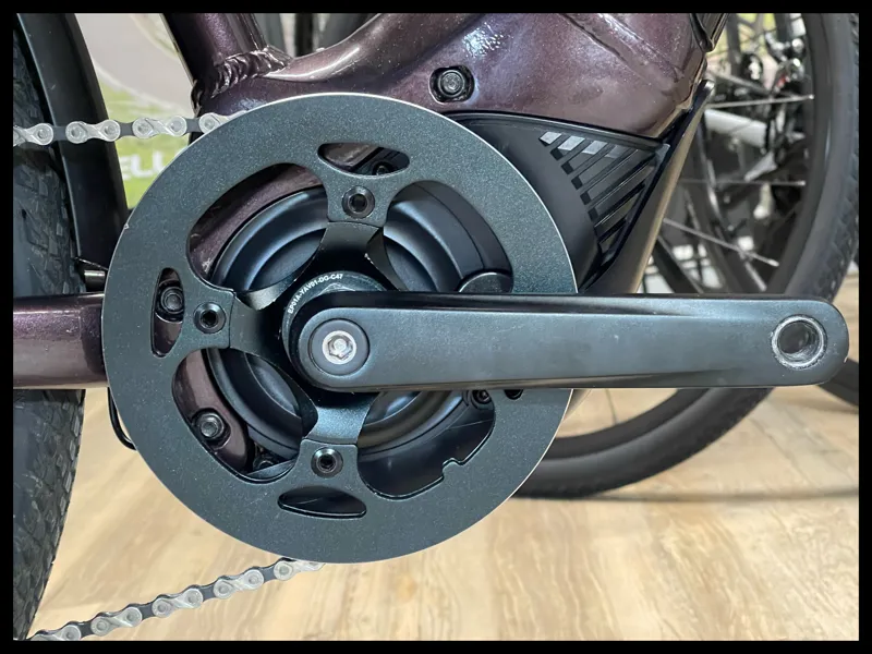 Liv Amiti-E+ 2 25km/h Medium Rosewood-5