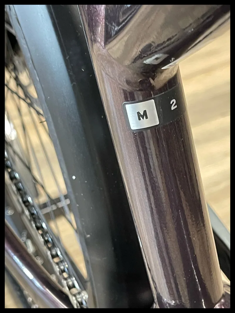 Liv Amiti-E+ 2 25km/h Medium Rosewood-3