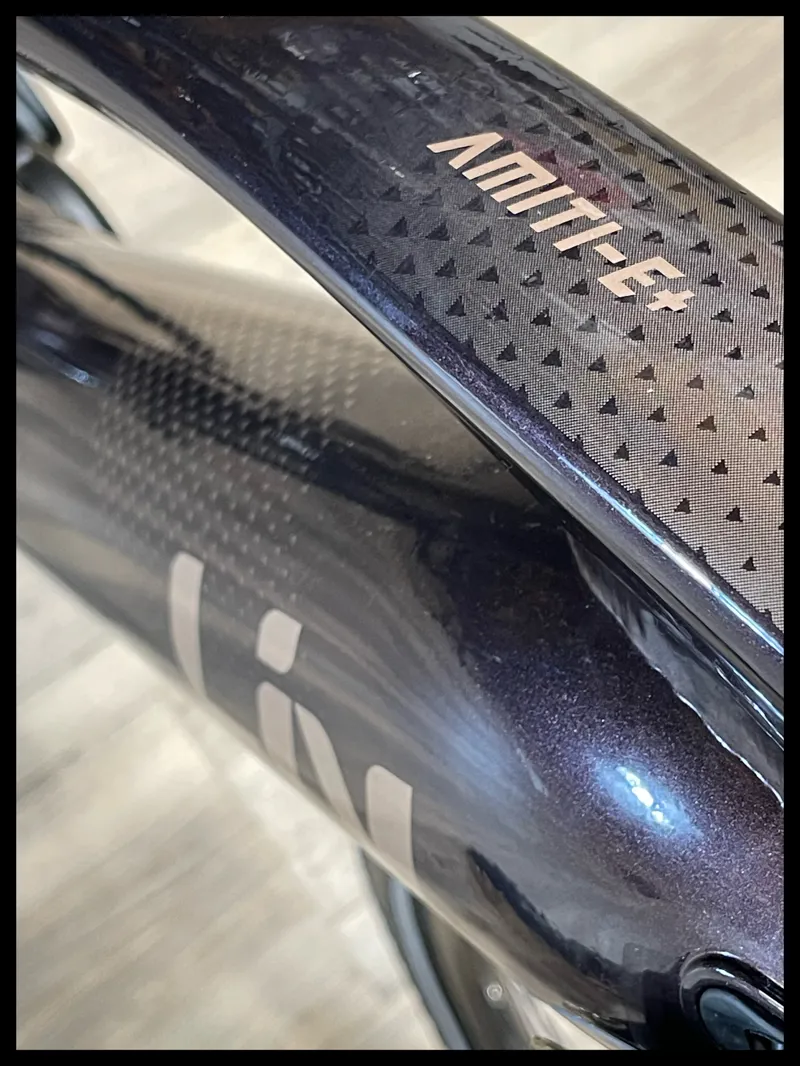 Liv Amiti-E+ 2 25km/h Medium Rosewood-2