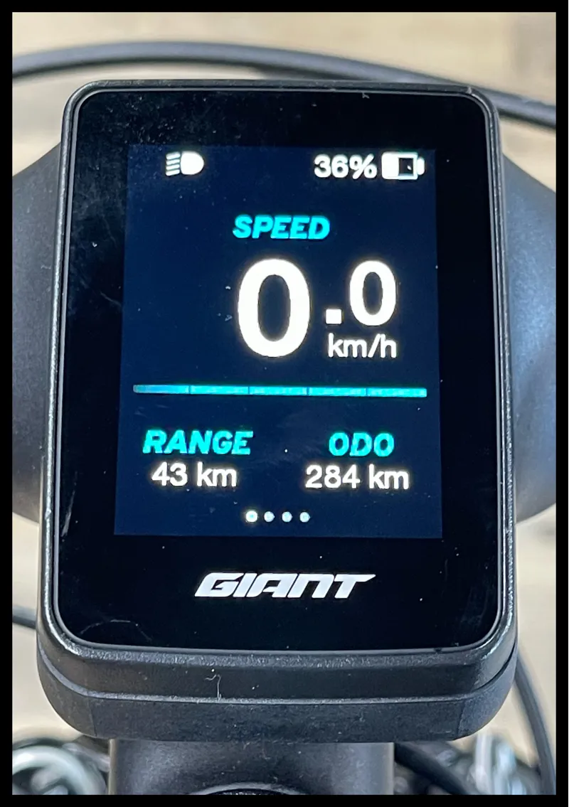 Liv Amiti-E+ 2 25km/h Medium Rosewood-7