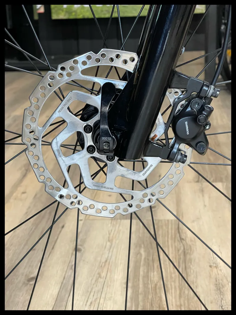 Liv Amiti-E+ 2 25km/h Medium Rosewood-8