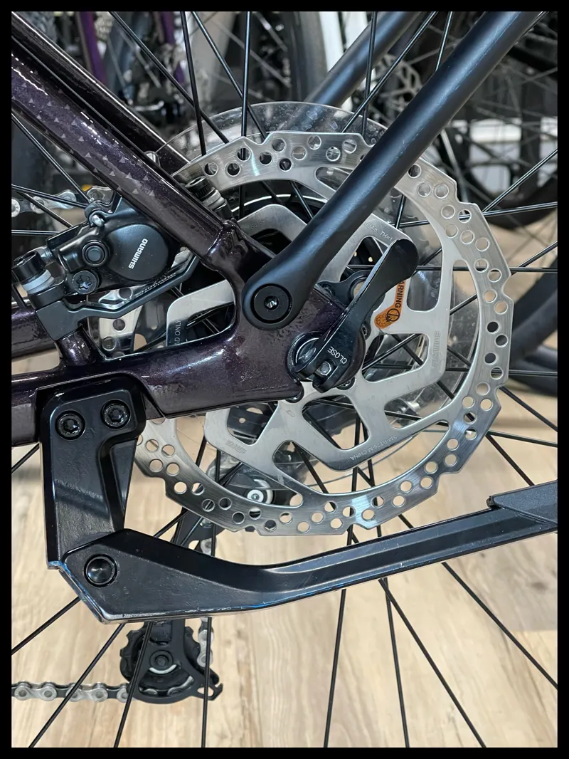 Liv Amiti-E+ 2 25km/h Medium Rosewood-9