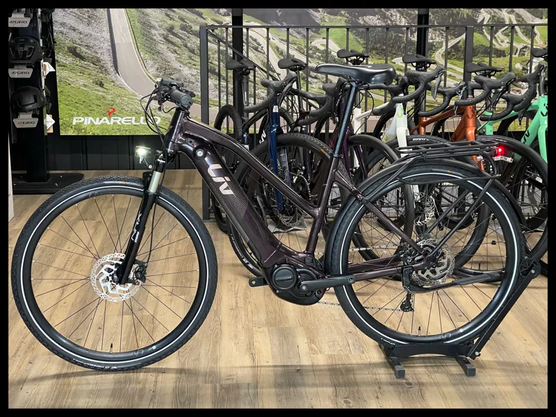 Liv Amiti-E+ 2 25km/h Medium Rosewood-1