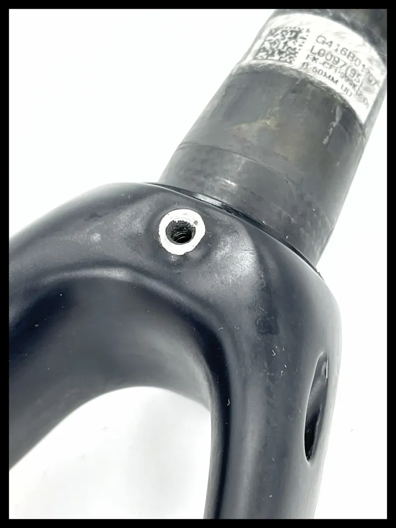 Pinarello Gan Disc Carbon Fork-4