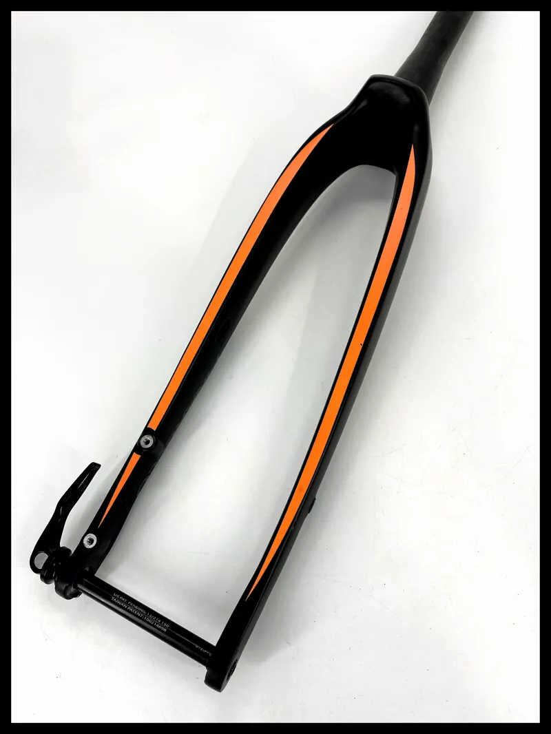 Pinarello Gan Disc Carbon Fork-1