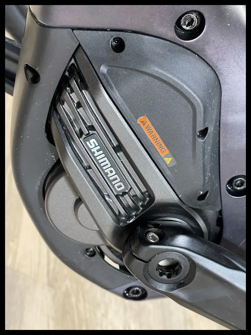 Revolt E+ Pro XR 25km/h Large Rosewood 2021-8