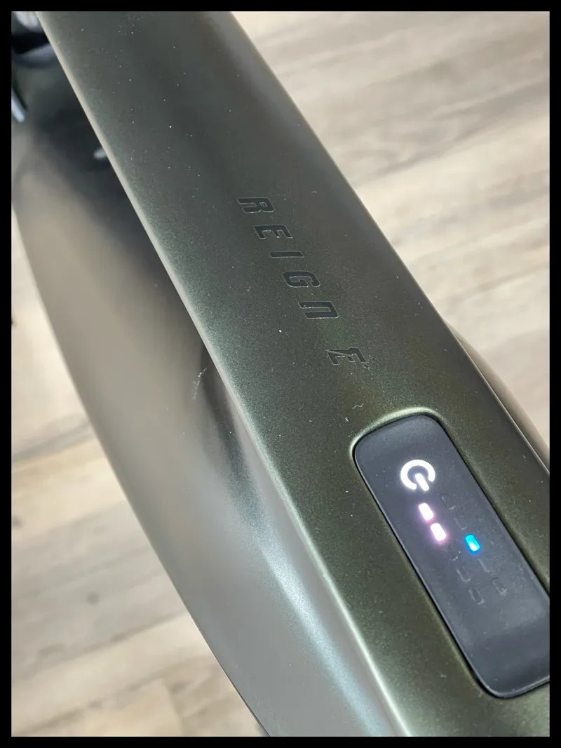 Reign E+ 1 MX Pro 25km/h Large Fanthom Green MTB-2