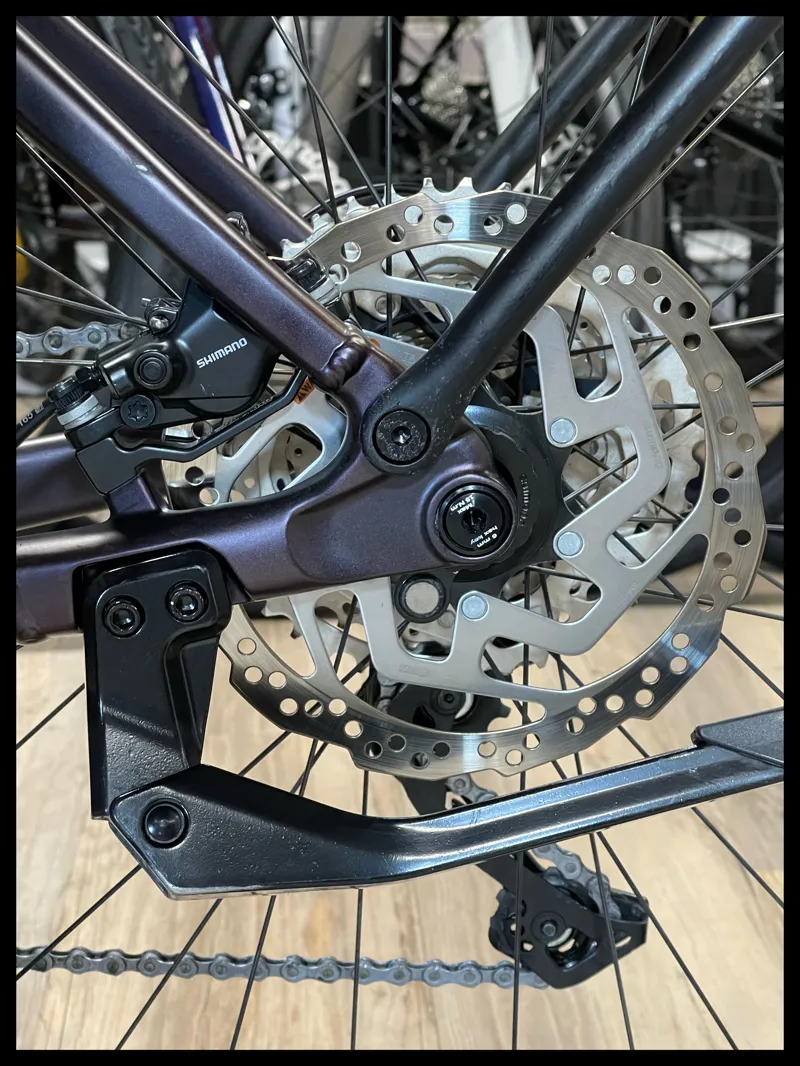 Explore E+ 1 Pro STA 25km/h Medium Rosewood Women's Hybrid-11