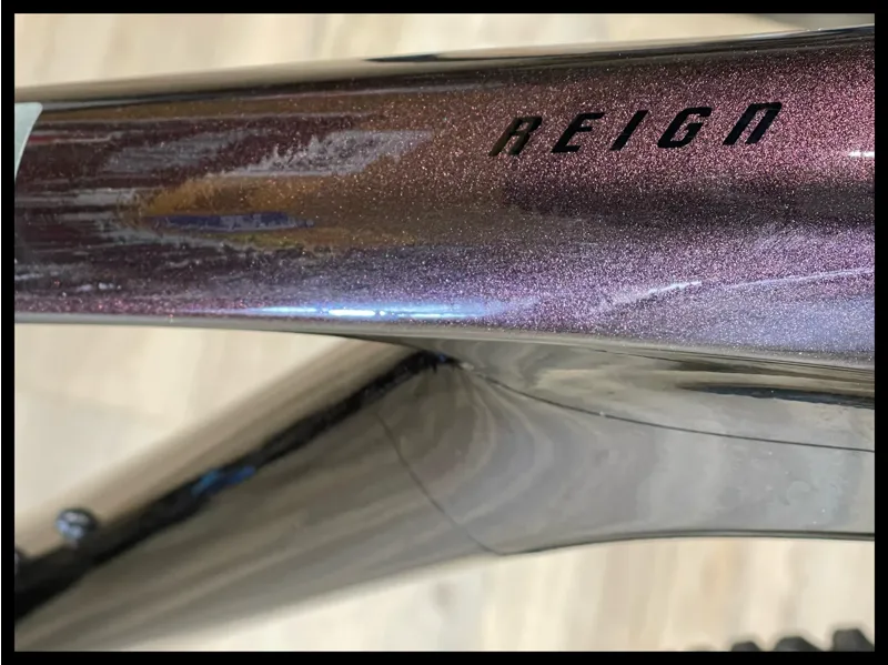 Giant Reign advanced pro 1 29 large Rosewood 2022-4