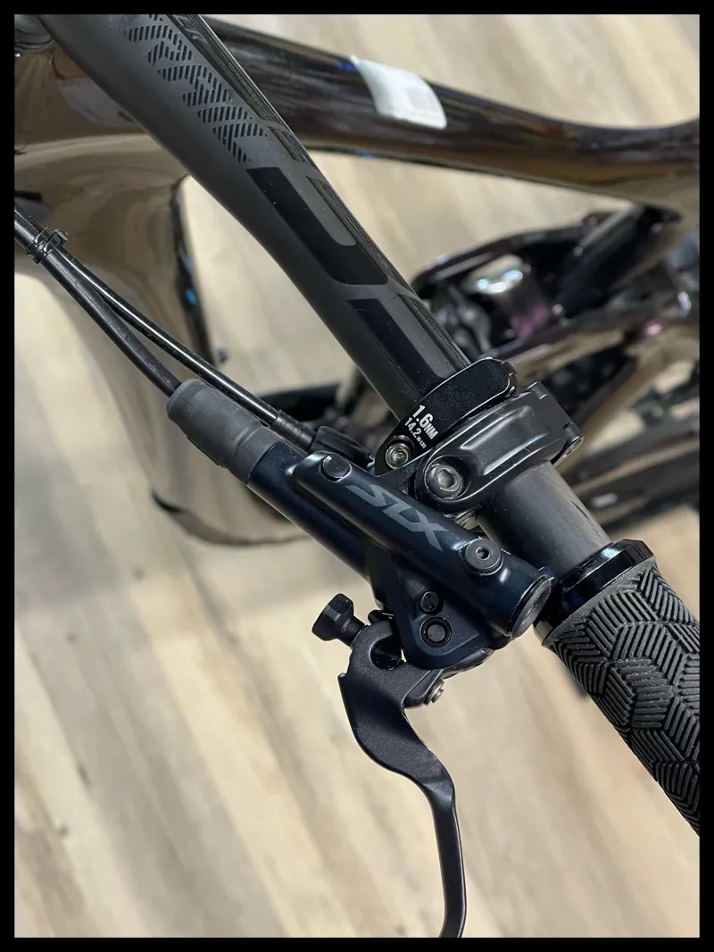 Giant Reign advanced pro 1 29 large Rosewood 2022-6