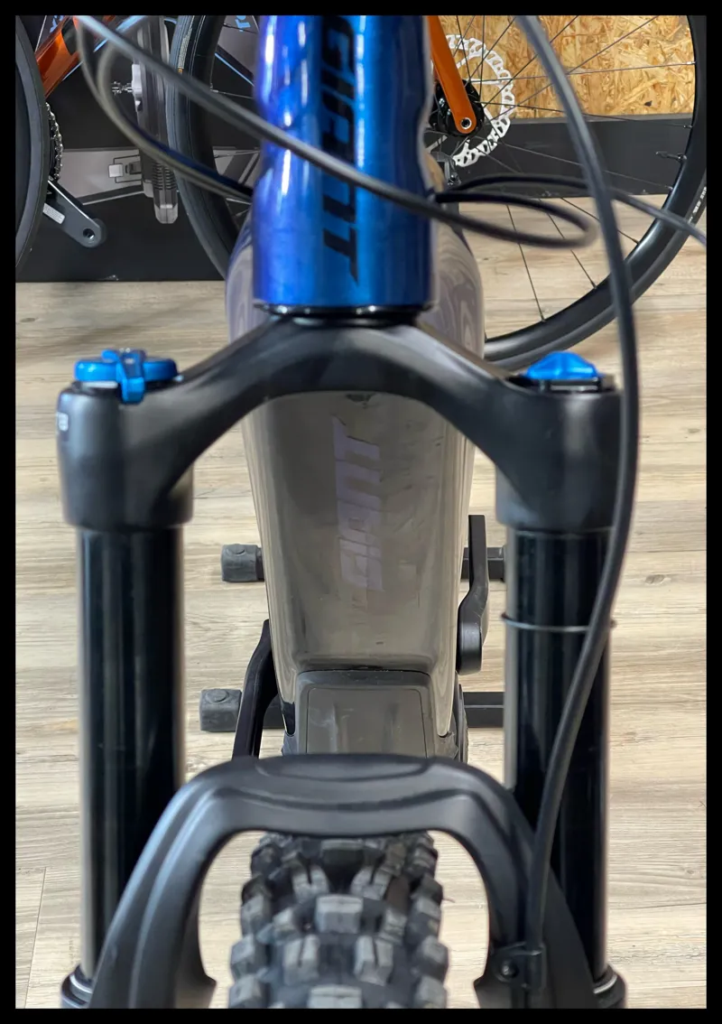 Trance X E+ 2 Pro 29er 25km/h Medium Chameleon Neptune-3