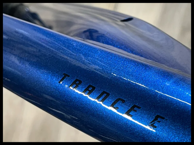 Trance X E+ 2 Pro 29er 25km/h Medium Chameleon Neptune-2