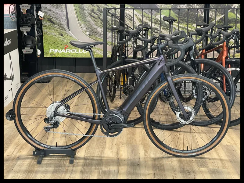 Giant Revolt E+ Pro XR 25km/h Medium Rosewood