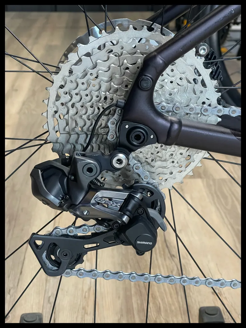 Giant Revolt E+ Pro XR 25km/h Medium Rosewood-5