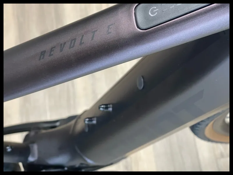 Giant Revolt E+ Pro XR 25km/h Medium Rosewood-2