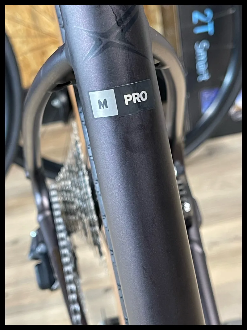 Giant Revolt E+ Pro XR 25km/h Medium Rosewood-3