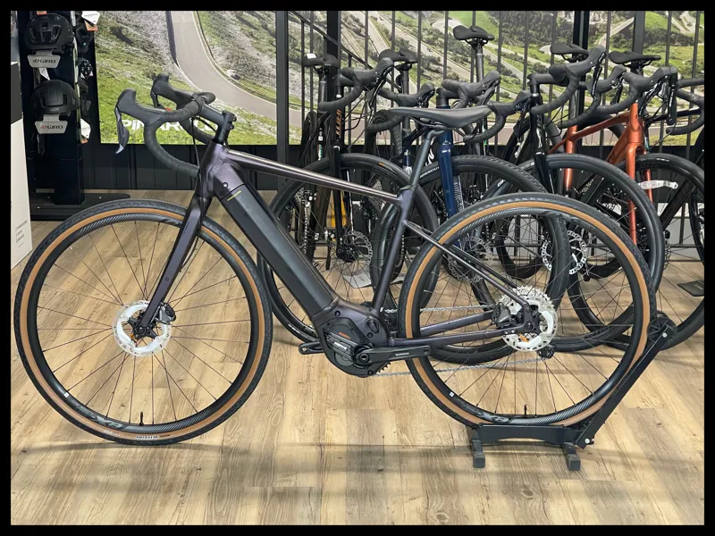 Giant Revolt E+ Pro XR 25km/h Medium Rosewood-1