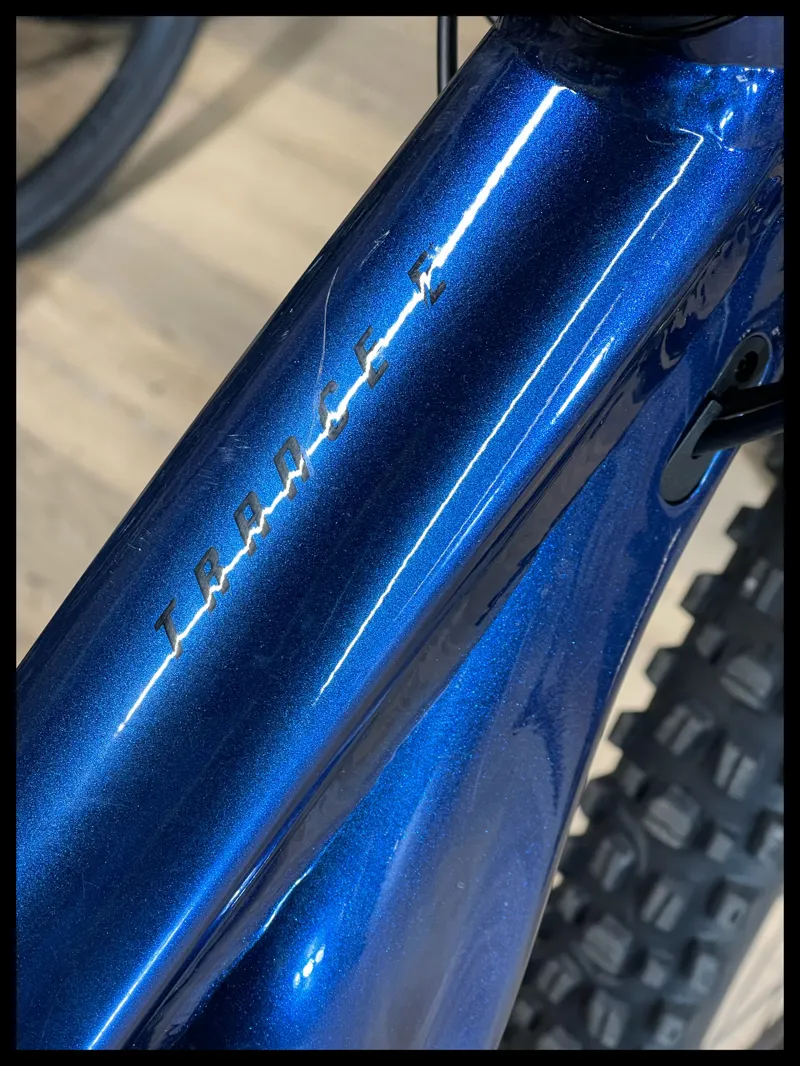 Giant Trance X E+ 2 Pro 29er 25km/h Large Chameleon Neptune-3