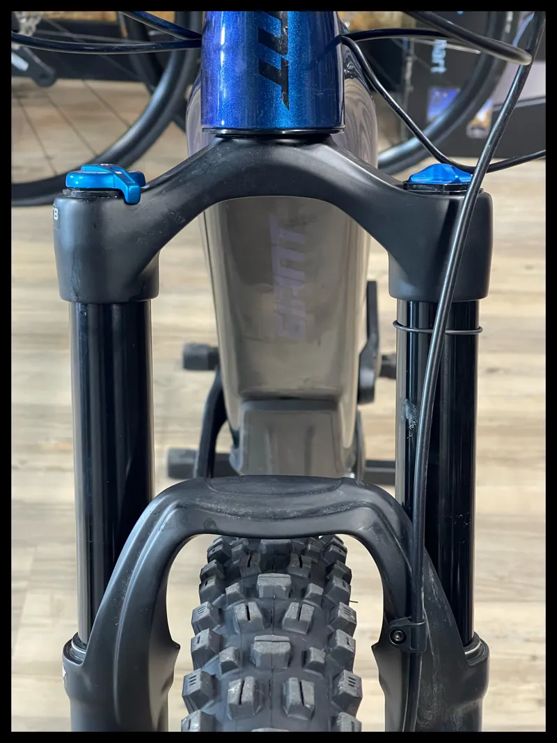 Giant Trance X E+ 2 Pro 29er 25km/h Large Chameleon Neptune-2