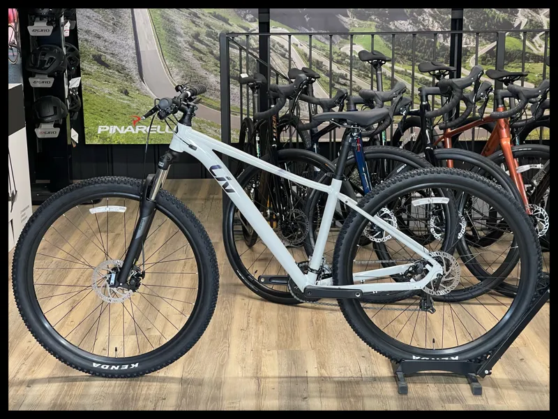 Liv Tempt 29 5 Medium Snow Drift 2022-1